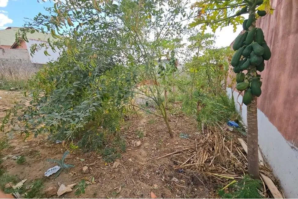 Fazenda / Haras para alugar, 356m2 em Salto De Pirapora - SP - imagem 3 Foto 3 de Fazenda / Haras para alugar, 356m2 em Salto De Pirapora - SP