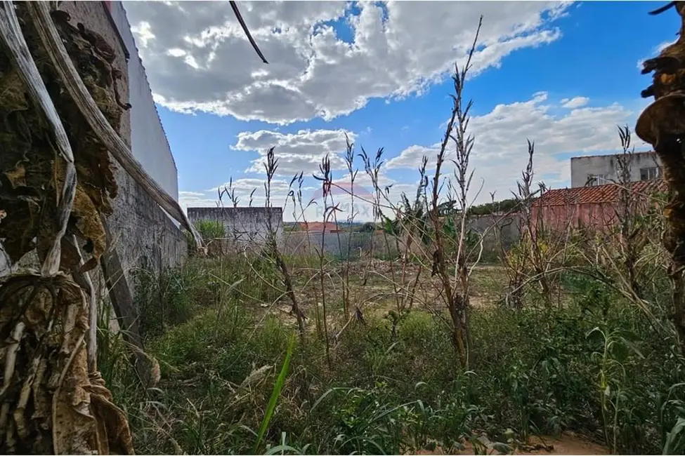 Foto 1 de Fazenda / Haras para alugar, 356m2 em Salto De Pirapora - SP