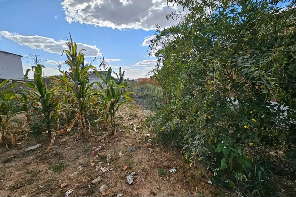 Foto 3 de Fazenda / Haras para alugar, 344m2 em Salto De Pirapora - SP