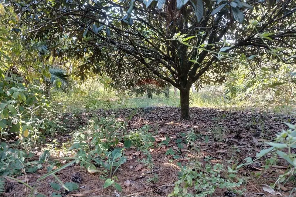 Foto 9 de Terreno / Lote à venda, 1400m2 em Salto De Pirapora - SP