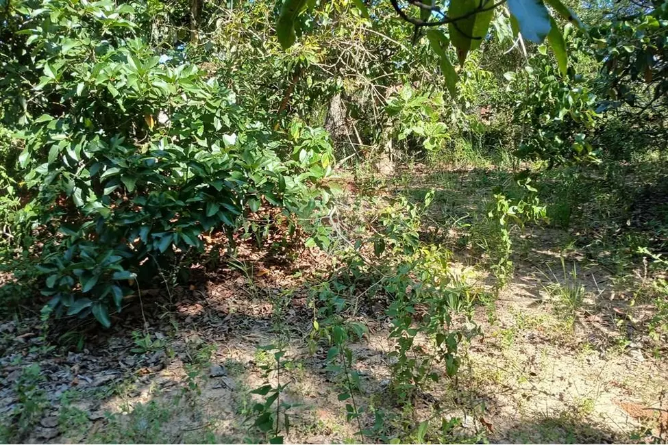 Foto 4 de Terreno / Lote à venda, 1400m2 em Salto De Pirapora - SP