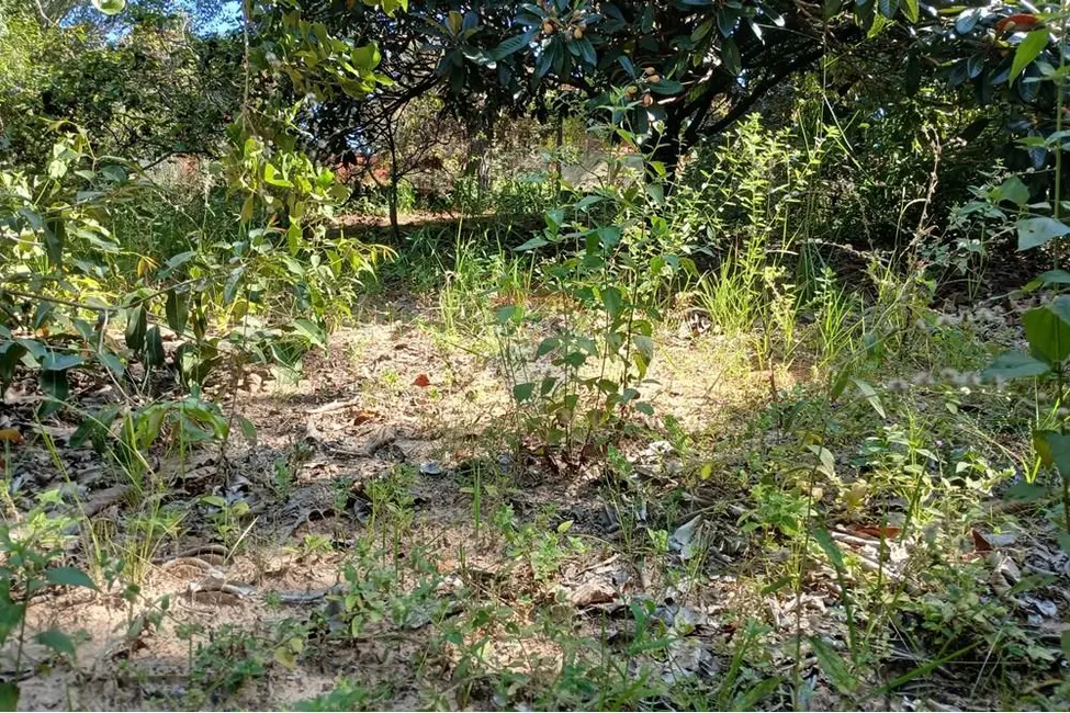 Foto 7 de Terreno / Lote à venda, 1400m2 em Salto De Pirapora - SP