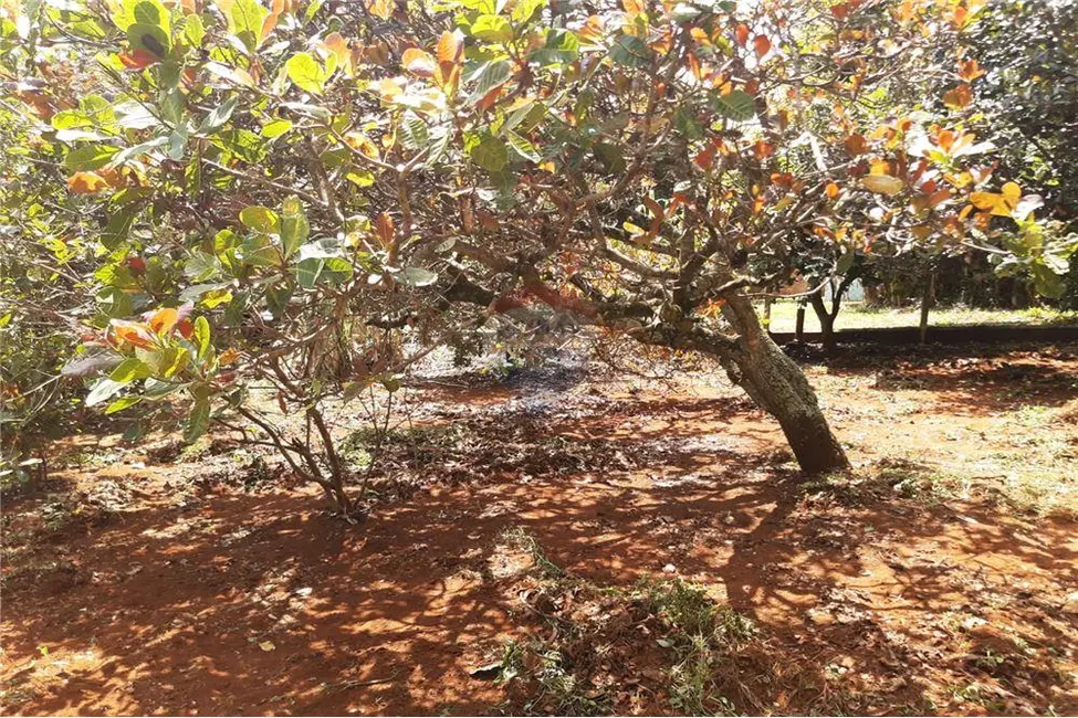 Casa com 7 quartos à venda, 400m2 em Ipanema do Meio, Sorocaba - SP - imagem 4 Foto 4 de Casa com 7 quartos à venda, 400m2 em Ipanema do Meio, Sorocaba - SP