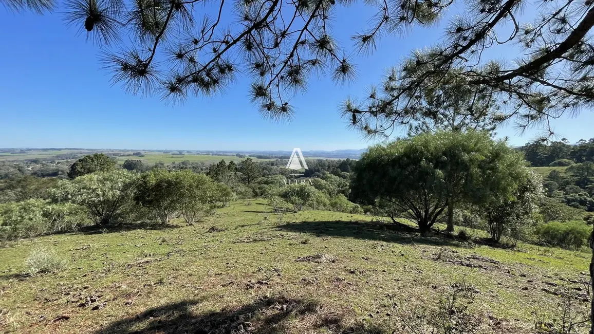 Foto 1 de Chácara com 3 quartos à venda, 229000m2 em Santa Maria - RS