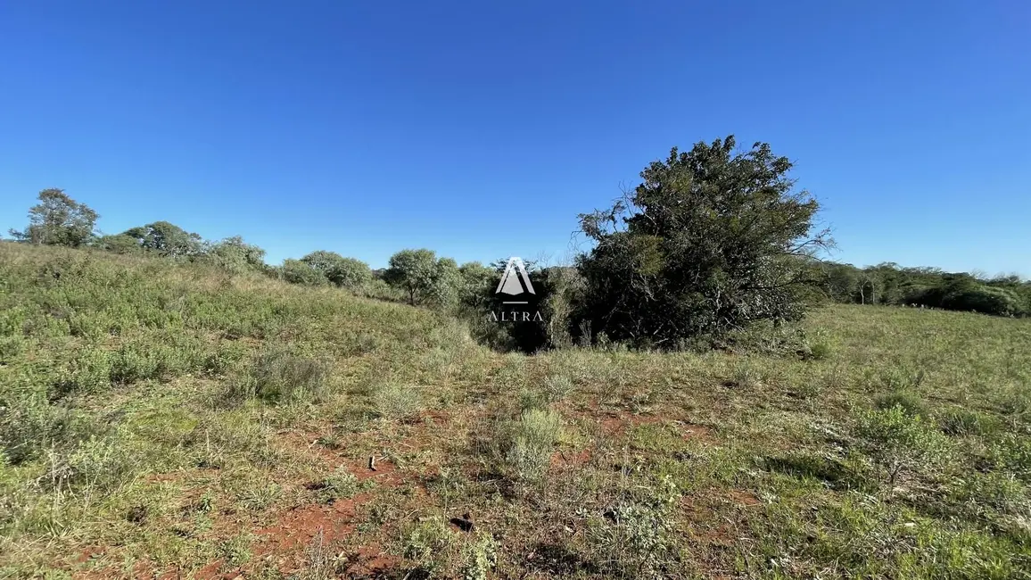 Foto 2 de Fazenda / Haras com 3 quartos à venda, 70000m2 em Santa Maria - RS