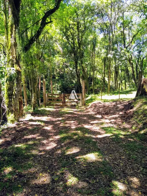 Foto 2 de Chácara com 3 quartos à venda, 242000m2 em Centro, Itaara - RS