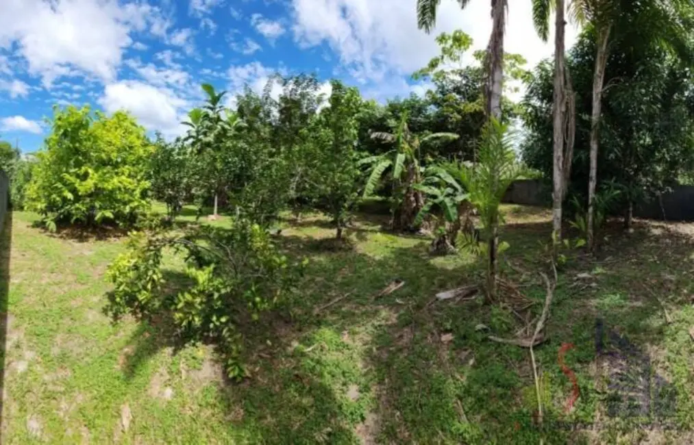 Foto 2 de Lote de Condomínio à venda, 800m2 em Ponta Negra, Manaus - AM