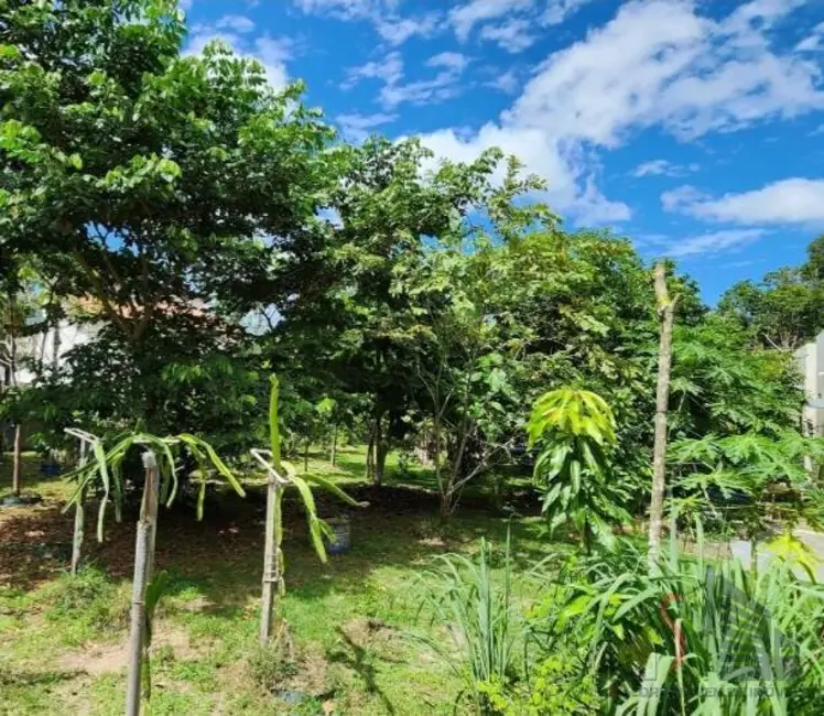 Foto 4 de Lote de Condomínio à venda, 800m2 em Ponta Negra, Manaus - AM