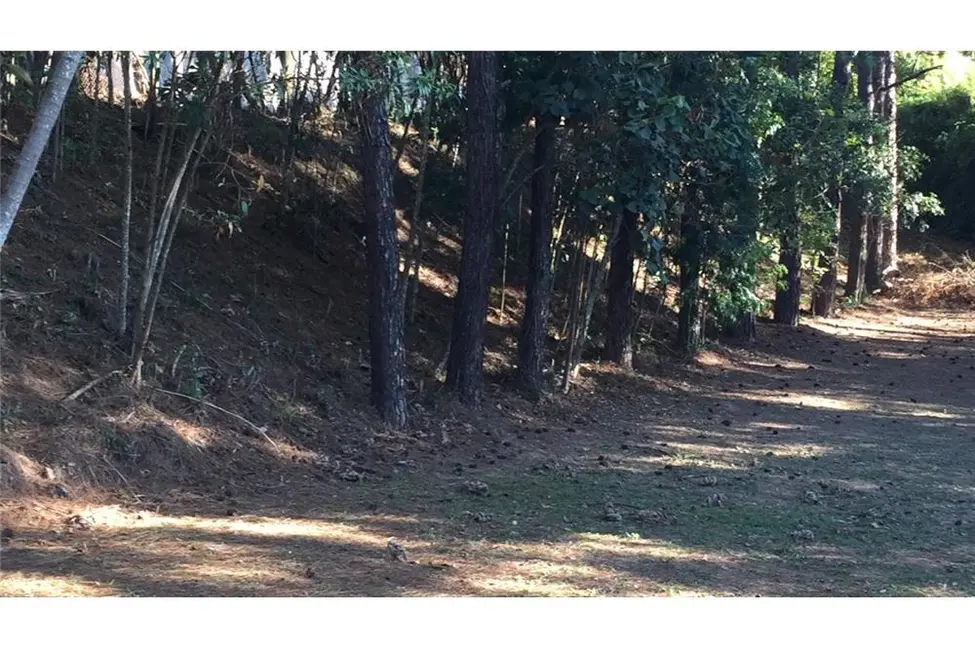 Terreno / Lote à venda, 1635m2 em Cajamar - SP - imagem 6 Foto 6 de Terreno / Lote à venda, 1635m2 em Cajamar - SP