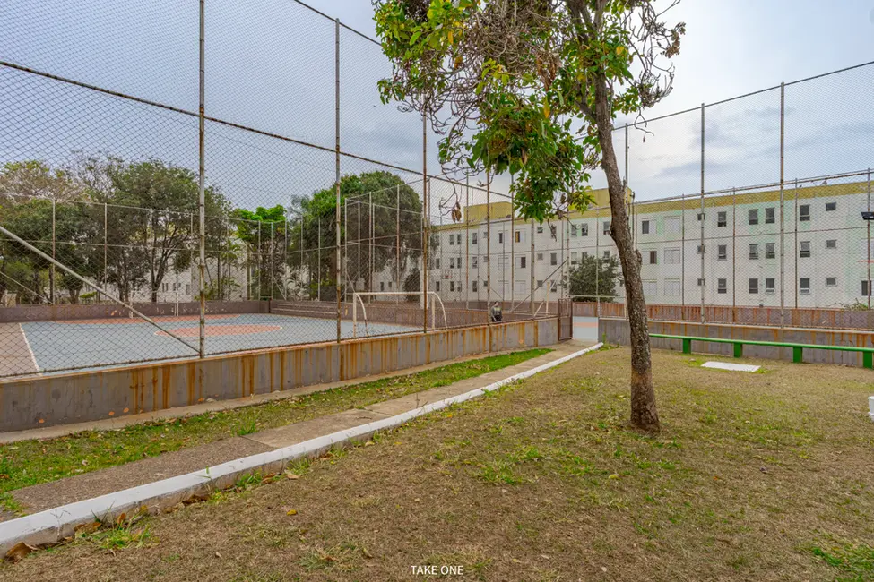 Apartamento com 2 quartos à venda, 50m2 em Vila Padre Manoel de Nóbrega, Campinas - SP - imagem 4 Foto 4 de Apartamento com 2 quartos à venda, 50m2 em Vila Padre Manoel de Nóbrega, Campinas - SP