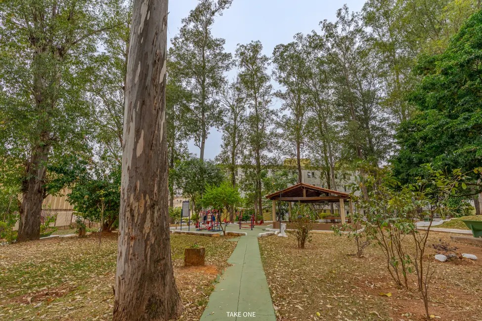 Apartamento com 2 quartos à venda, 50m2 em Vila Padre Manoel de Nóbrega, Campinas - SP - imagem 7 Foto 7 de Apartamento com 2 quartos à venda, 50m2 em Vila Padre Manoel de Nóbrega, Campinas - SP