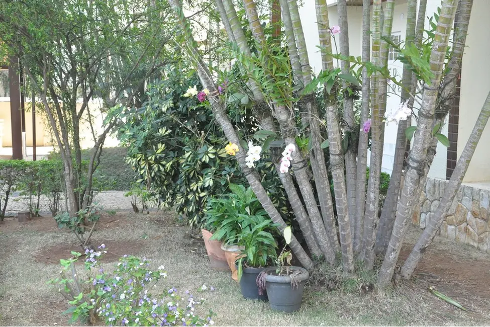 Foto 9 de Apartamento com 3 quartos à venda, 83m2 em Vila Costa e Silva, Campinas - SP