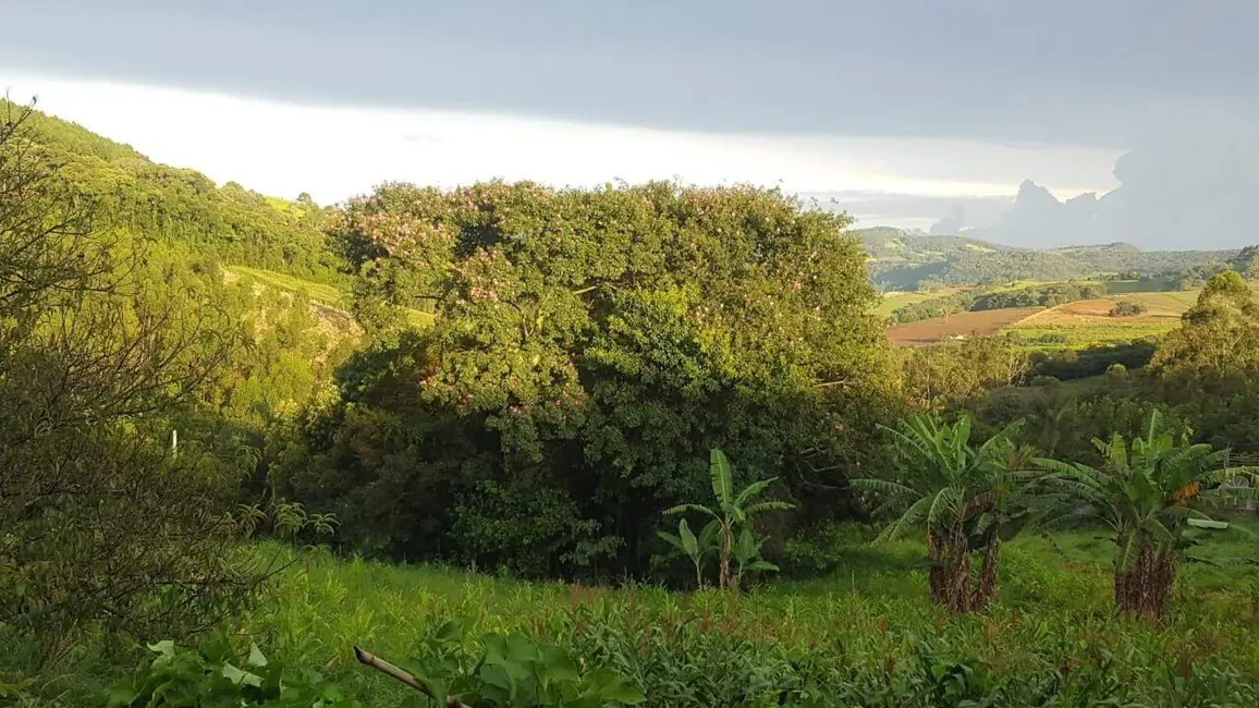 Foto 3 de Chácara com 1 quarto à venda, 100m2 em Toledo - MG