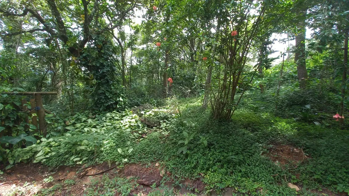 Foto 9 de Terreno / Lote à venda, 3701m2 em Atibaia - SP