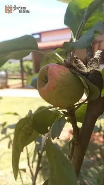 Foto 7 de Chácara com 4 quartos à venda, 5664m2 em Portal São Marcelo, Braganca Paulista - SP