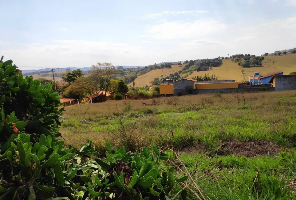 Foto 3 de Terreno / Lote à venda, 3000m2 em Tuiuti - SP