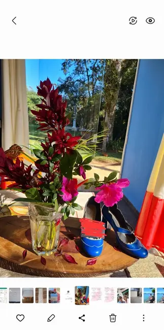 Foto 9 de Chácara com 3 quartos à venda, 5787m2 em Dos Finco, Sao Bernardo Do Campo - SP