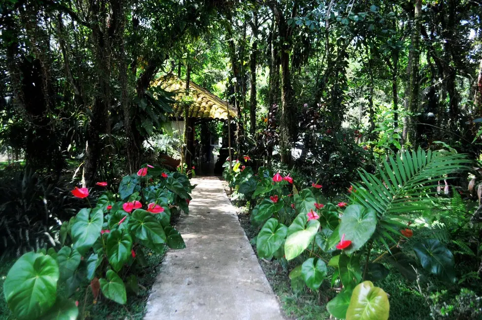 Chácara com 3 quartos à venda, 479m2 em Dos Finco, Sao Bernardo Do Campo - SP - imagem 4 Foto 4 de Chácara com 3 quartos à venda, 479m2 em Dos Finco, Sao Bernardo Do Campo - SP