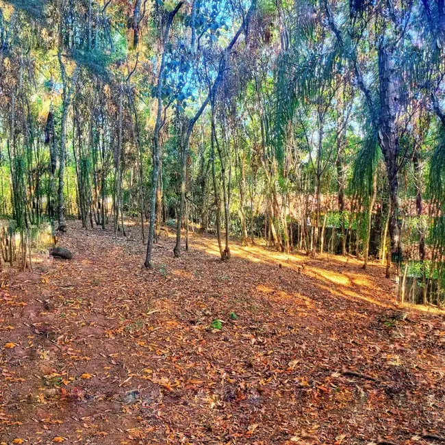 Foto 4 de Terreno / Lote à venda, 2670m2 em Jardim Jaraguá, Atibaia - SP