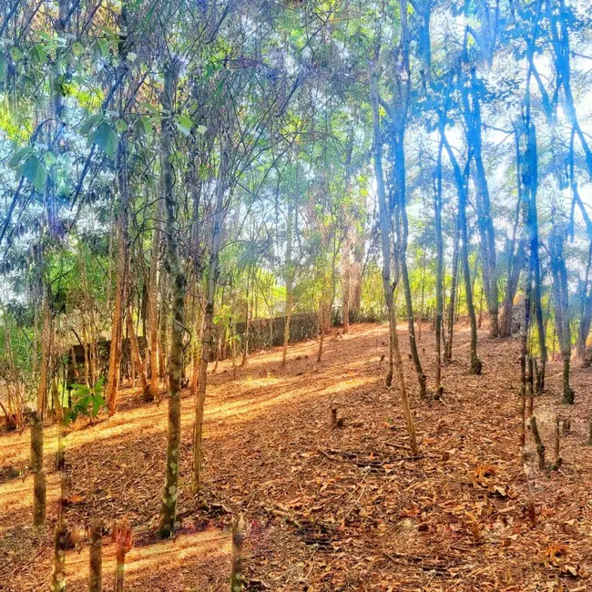 Foto 3 de Terreno / Lote à venda, 2670m2 em Jardim Jaraguá, Atibaia - SP