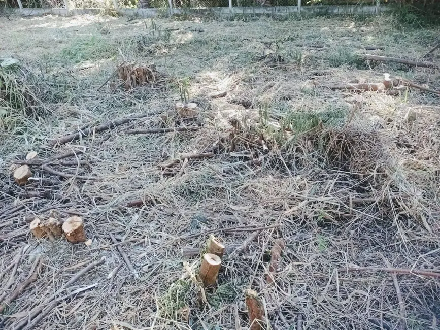 Foto 9 de Terreno / Lote à venda, 769m2 em Loteamento Vale das Flores, Atibaia - SP