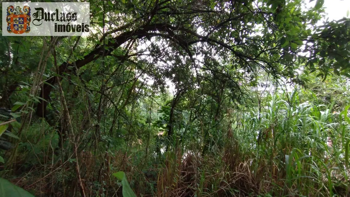 Foto 9 de Terreno / Lote à venda, 737m2 em Vila Suzana, São Paulo - SP