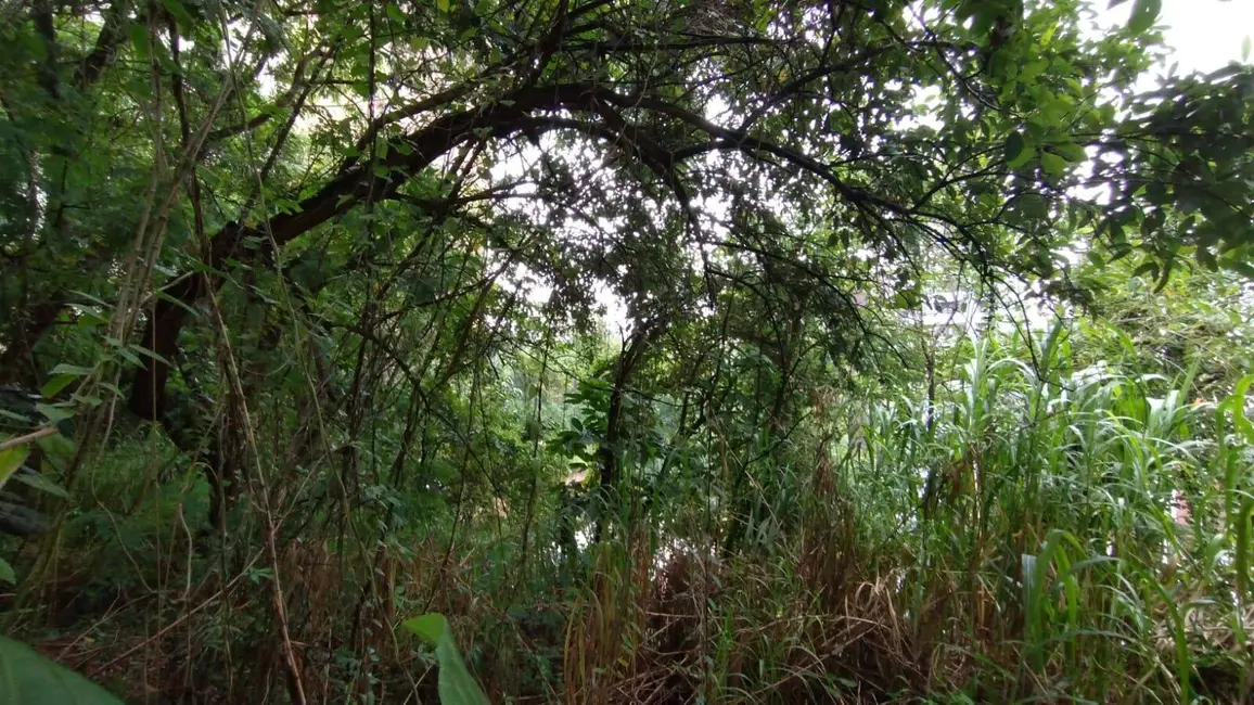 Foto 9 de Terreno / Lote à venda, 737m2 em Vila Suzana, São Paulo - SP