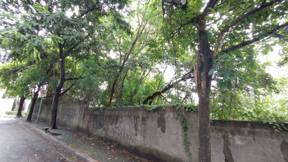 Foto 4 de Terreno / Lote à venda, 737m2 em Vila Suzana, São Paulo - SP