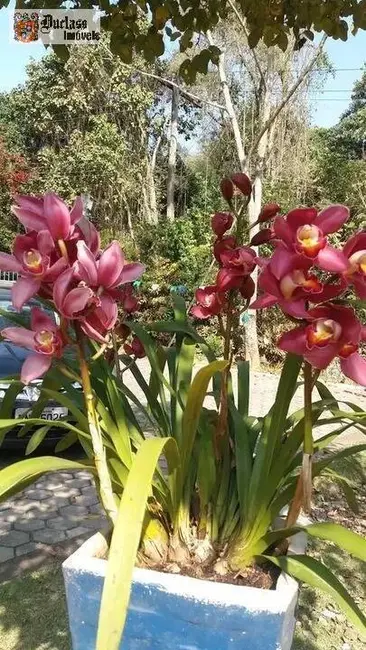 Chácara com 6 quartos à venda, 235m2 em Mairipora - SP - imagem 6 Foto 6 de Chácara com 6 quartos à venda, 235m2 em Mairipora - SP