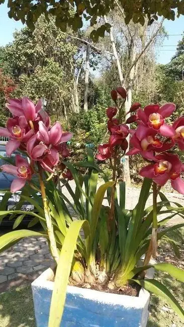 Foto 8 de Chácara com 6 quartos à venda, 235m2 em Mairipora - SP