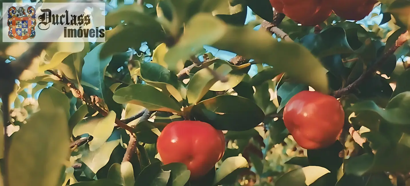 Foto 7 de Chácara com 3 quartos à venda, 214m2 em Itatiba - SP
