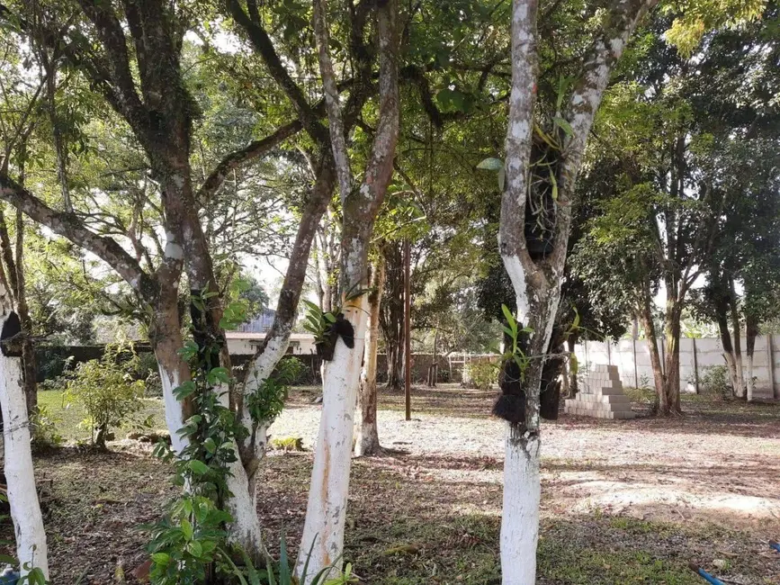 Foto 7 de Chácara com 5 quartos à venda, 350m2 em Itanhaem - SP