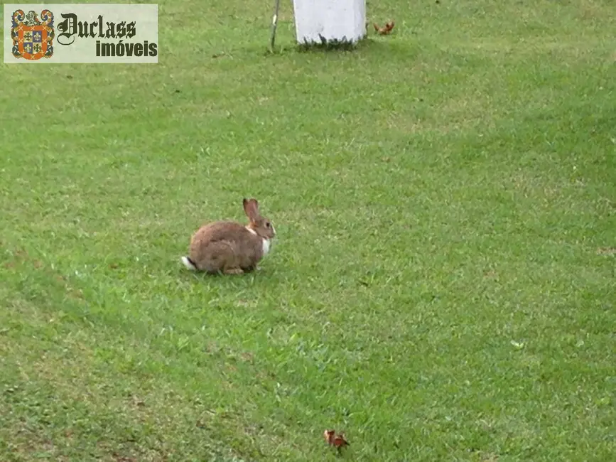 Foto 9 de Chácara com 4 quartos à venda, 1000m2 em Campos Do Jordao - SP