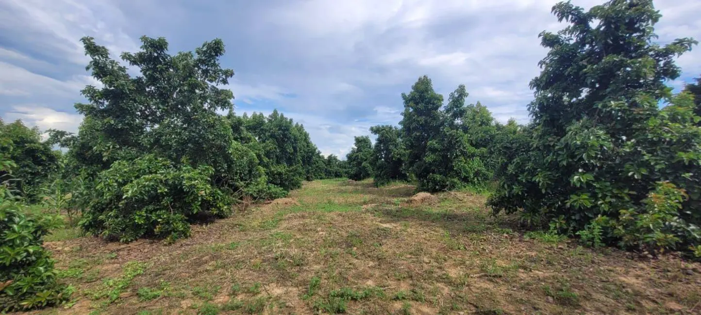 Foto 2 de Sítio / Rancho à venda, 44500m2 em Monte Mor - SP
