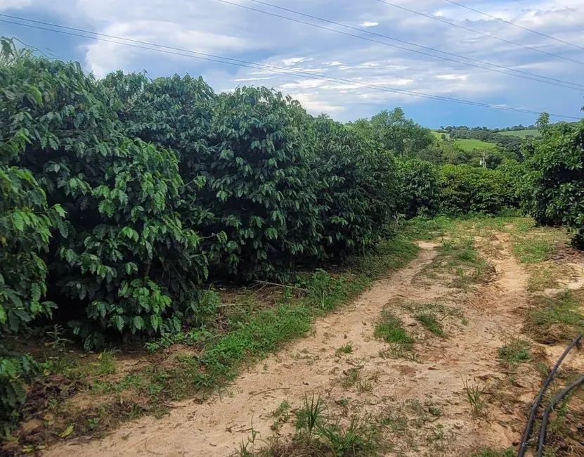 Foto 4 de Sítio / Rancho à venda, 44500m2 em Monte Mor - SP