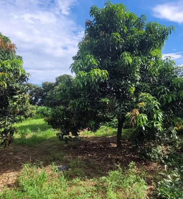 Foto 6 de Sítio / Rancho à venda, 44500m2 em Monte Mor - SP