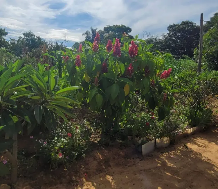 Foto 7 de Sítio / Rancho à venda, 44500m2 em Monte Mor - SP