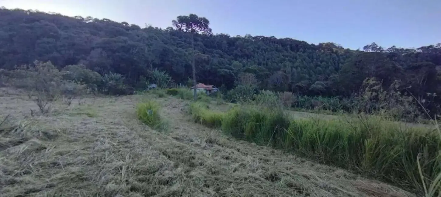 Sítio / Rancho com 2 quartos à venda, 60m2 em Centro, Vargem - SP - imagem 9 Foto 9 de Sítio / Rancho com 2 quartos à venda, 60m2 em Centro, Vargem - SP