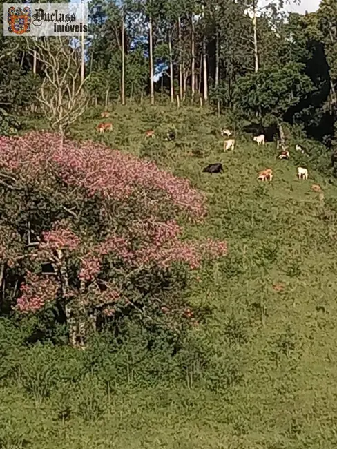 Foto 5 de Sítio / Rancho com 3 quartos à venda, 41000m2 em Joanopolis - SP