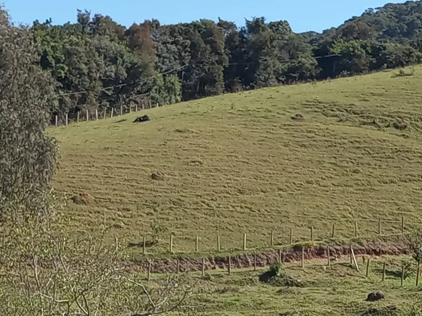 Foto 8 de Sítio / Rancho com 3 quartos à venda, 230m2 em Joanopolis - SP