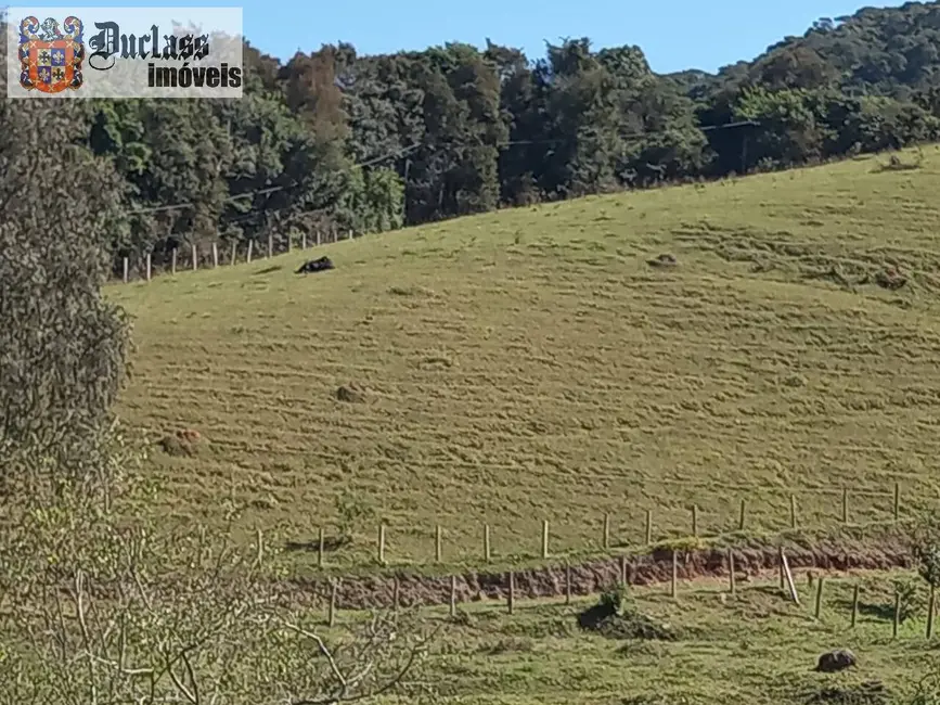 Foto 7 de Sítio / Rancho com 3 quartos à venda, 41000m2 em Joanopolis - SP