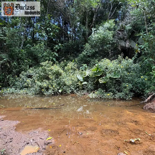 Foto 19 de Chácara à venda, 31850m2 em Camanducaia - MG