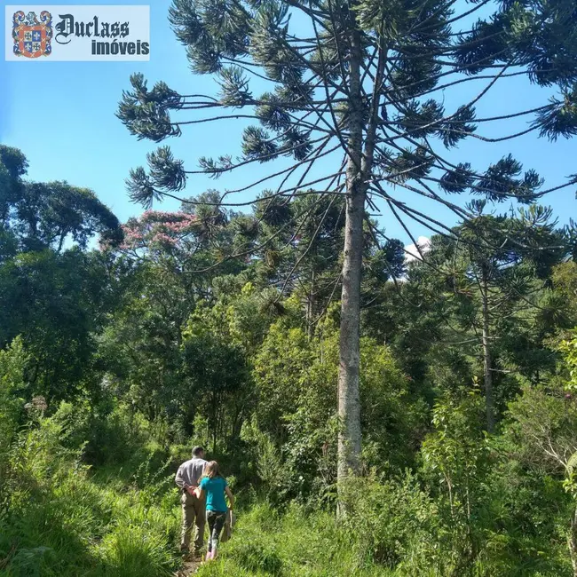 Foto 11 de Chácara à venda, 31850m2 em Camanducaia - MG