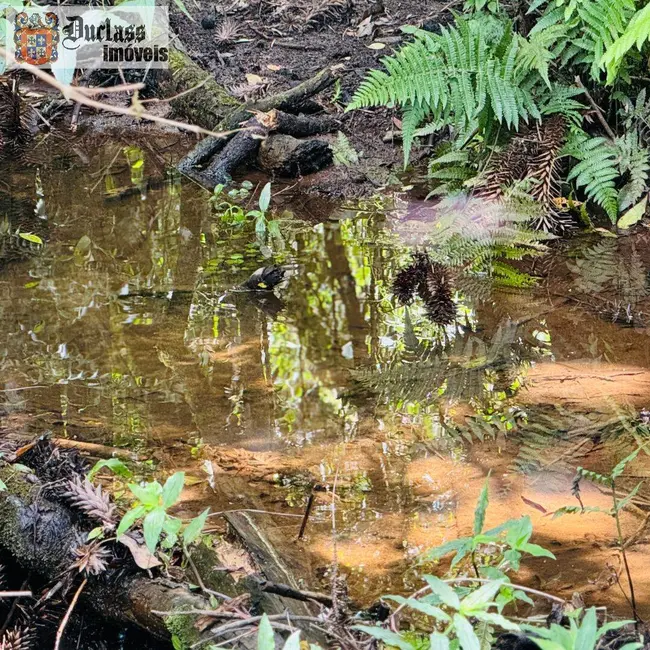 Foto 16 de Chácara à venda, 31850m2 em Camanducaia - MG