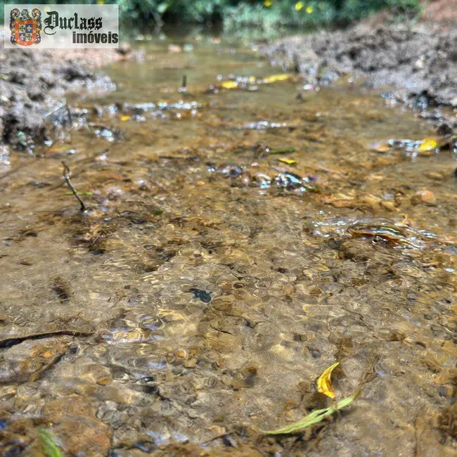 Foto 17 de Chácara à venda, 31850m2 em Camanducaia - MG