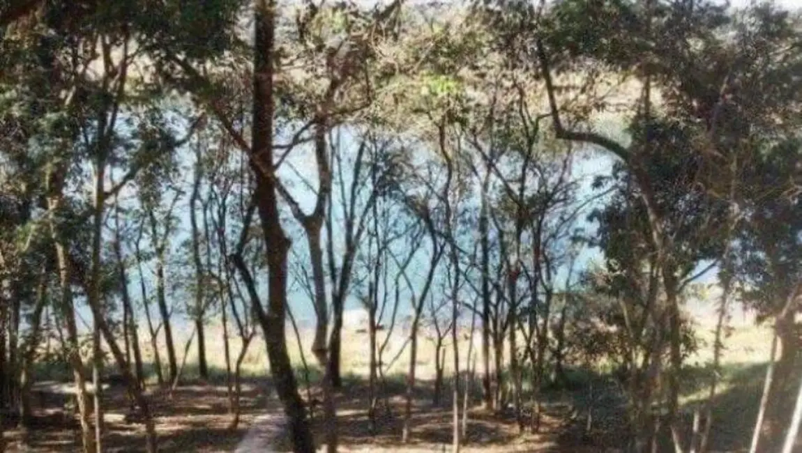 Foto 6 de Chácara com 3 quartos à venda, 180m2 em Joanopolis - SP