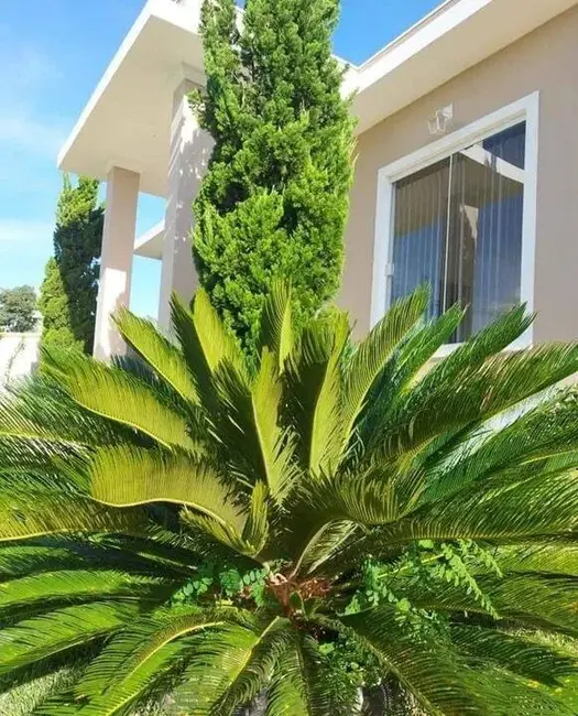 Chácara com 3 quartos à venda, 250m2 em Pinhalzinho - SP - imagem 2 Foto 2 de Chácara com 3 quartos à venda, 250m2 em Pinhalzinho - SP