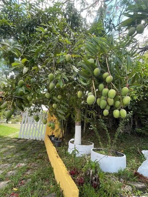 Foto 3 de Chácara com 3 quartos à venda, 345m2 em Piracaia - SP