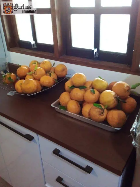 Foto 8 de Chácara com 3 quartos à venda, 345m2 em Piracaia - SP