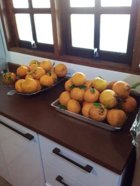 Foto 8 de Chácara com 3 quartos à venda, 345m2 em Piracaia - SP